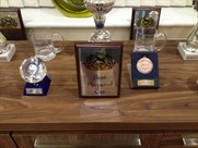 fiesta-sprint-championship-car---sold