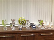 fiesta-sprint-championship-car---sold