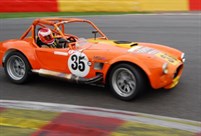 race-wining-cobra---sold