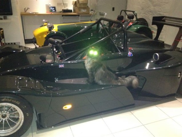 juno-sse-cn-spec-honda-fresh-engine-price-red