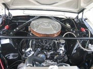 1965-shelby-mustang-gt350-replica---rally