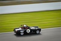 historic-ah-sprite-full-race