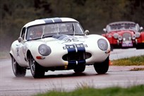 jaguar-e-type-roadster---fia-semi-lightweight