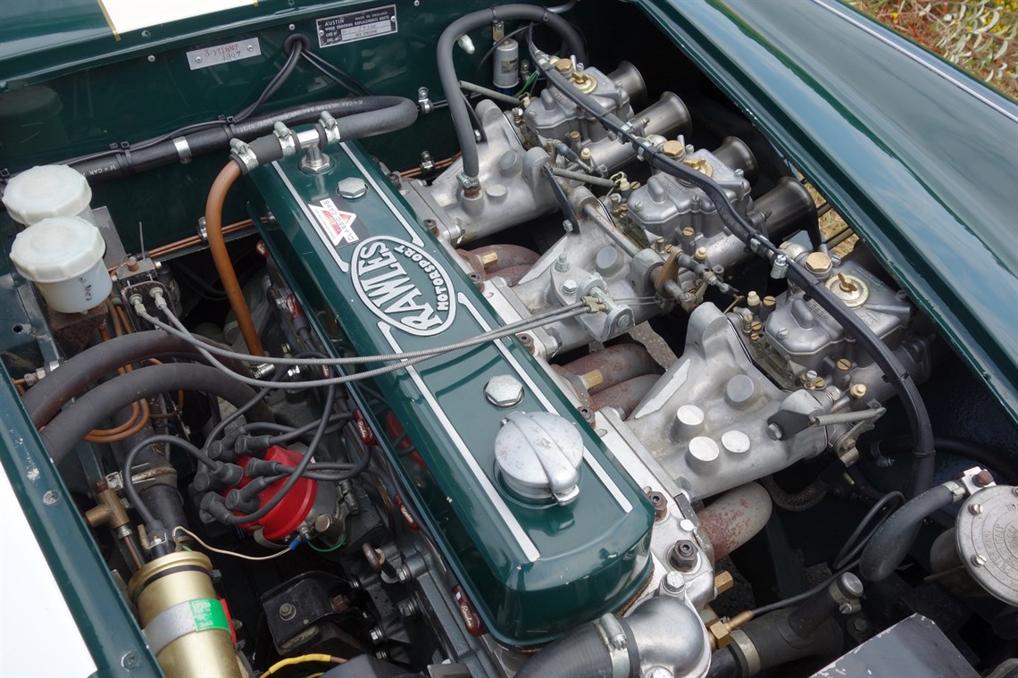 austin-healey-3000-mk1-fia