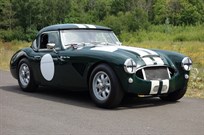 austin-healey-3000-mk1-fia