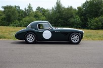 austin-healey-3000-mk1-fia