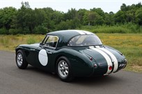 austin-healey-3000-mk1-fia