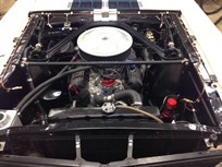 shelby-mustang-gt350-fia-ex-frank-sytner-now