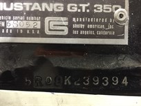 shelby-mustang-gt350-fia-ex-frank-sytner-now