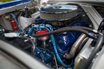 1964-ford-falcon-fia