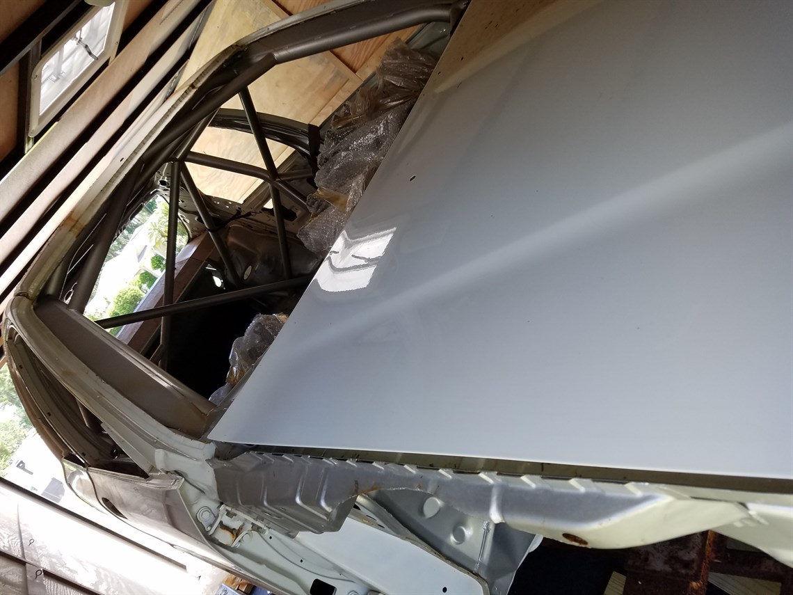 msd-honda-shell-number-20