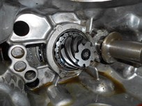 jack-knight-4-sp-imp-sc-dog-box