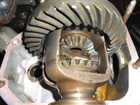 jack-knight-4-sp-imp-sc-dog-box