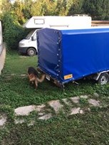 1984-anson-sa-8-f3-with-optional-trailer