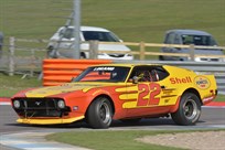 1971-ford-mustang-mach-1-iconic-race-car-75l