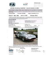 jaguar-e-type-fia-semi-lightweight-roadster