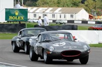 jaguar-e-type-fia-semi-lightweight-roadster