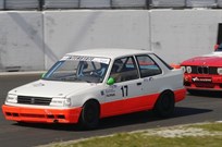 peugeot-309-gti-16-group-n