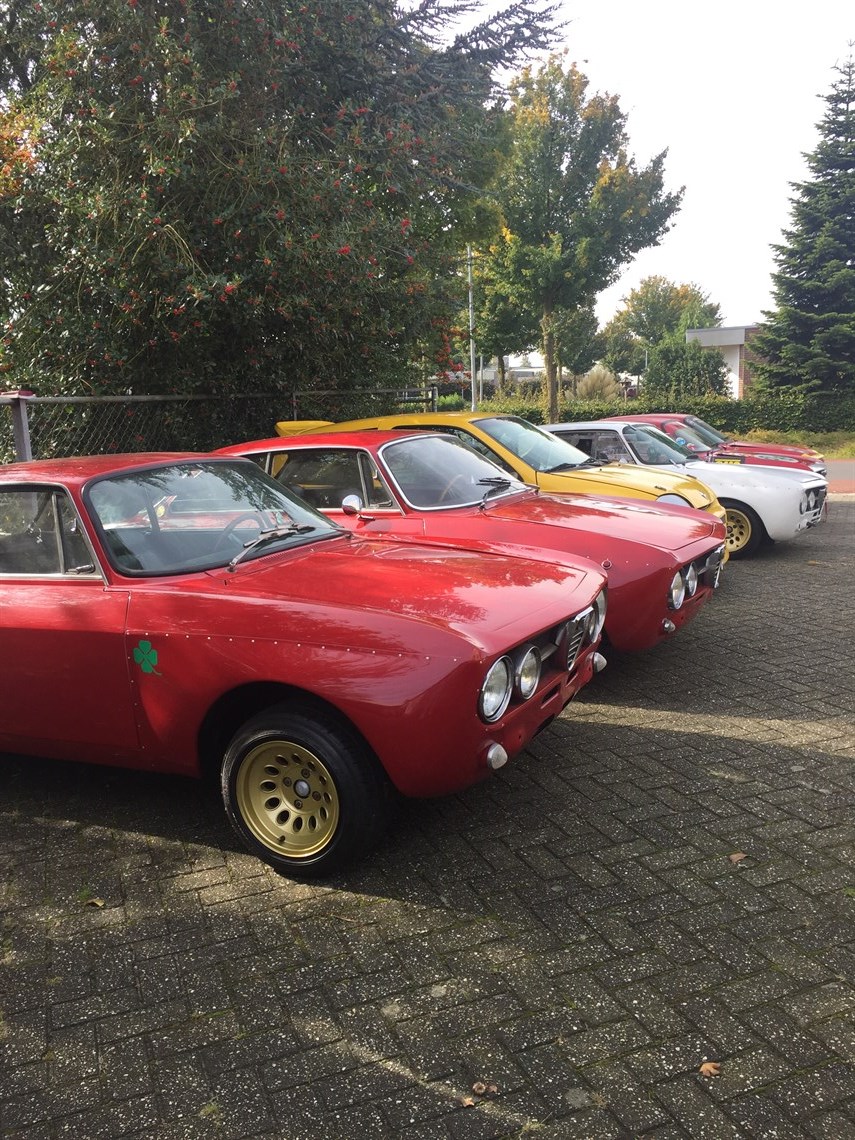 alfa-romeo-collection-in-the-netherlands