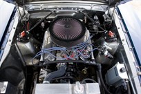 1966-ford-mustang-race-car---fresh-build-fia