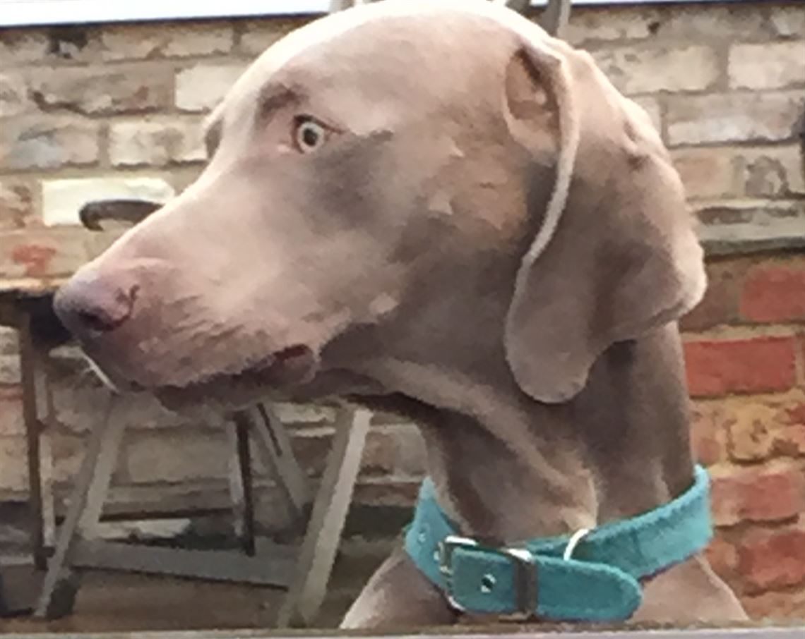 pit-signal-board-numbers