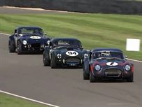 shelby-cobra---fia-htp