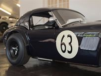 shelby-cobra---fia-htp