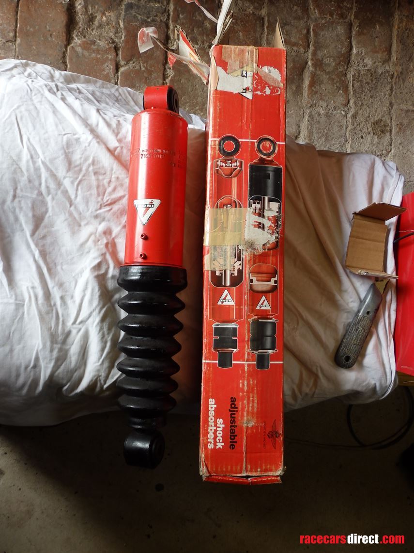 ferrari-1972-365-gtc4-rear-suspension-levelli