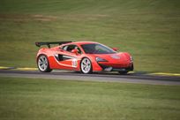 2017-mclaren-570-s---race-track-ready-2850-mi