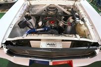 racing-mustang-fastback-19651966