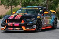 2015 Ford Mustang GT350R-C