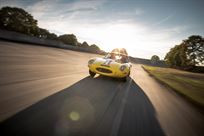 jaguar-e-type-38-fhc-coupe-fia